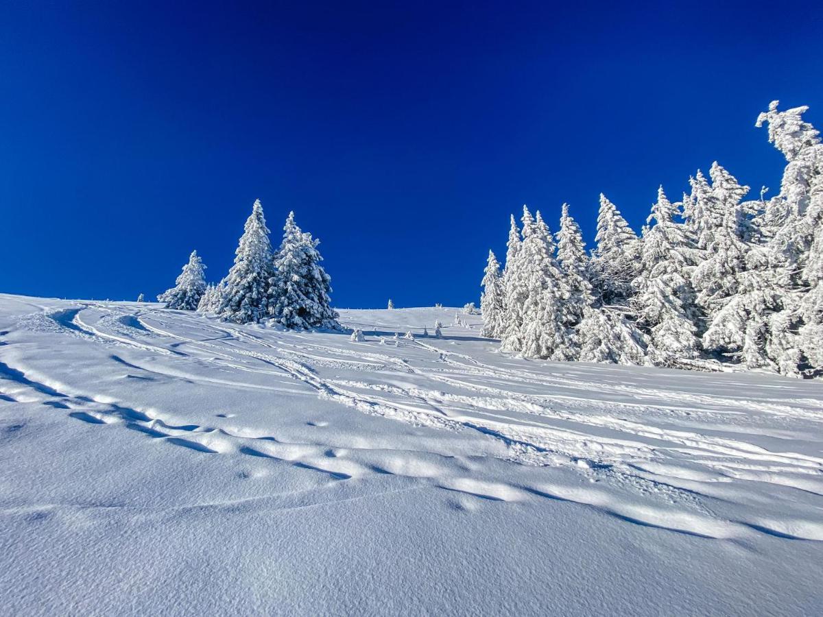 Ferienwohnungen Am Skilift Herrischried Εξωτερικό φωτογραφία