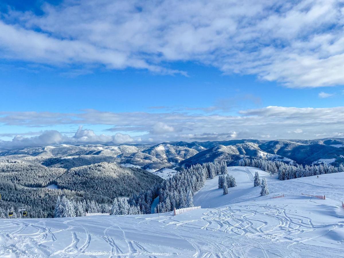 Ferienwohnungen Am Skilift Herrischried Εξωτερικό φωτογραφία