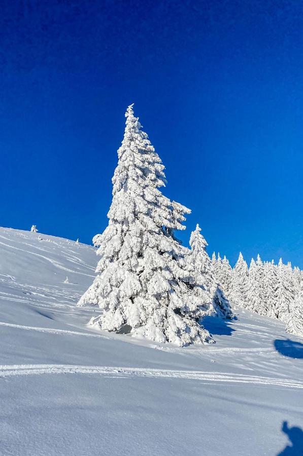 Ferienwohnungen Am Skilift Herrischried Εξωτερικό φωτογραφία