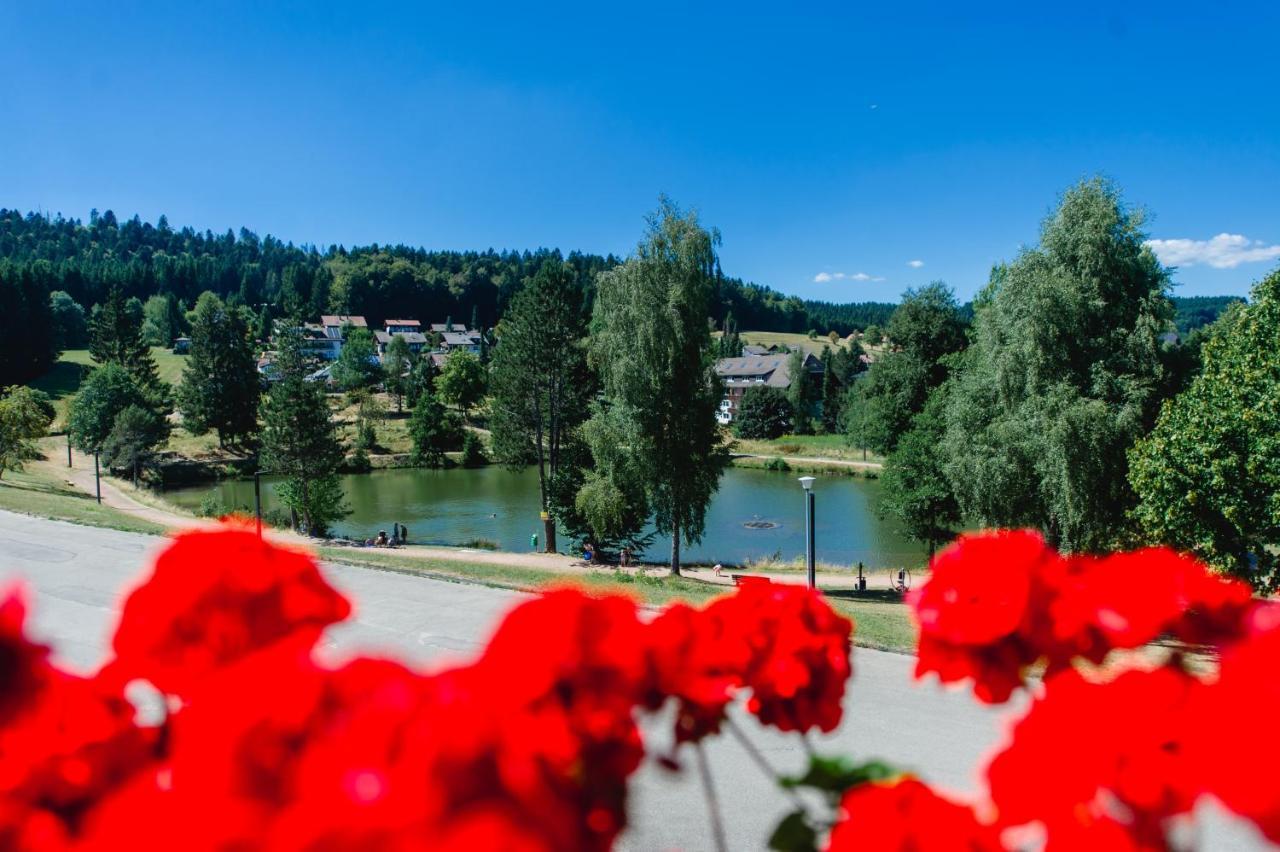 Ferienwohnungen Am Skilift Herrischried Εξωτερικό φωτογραφία