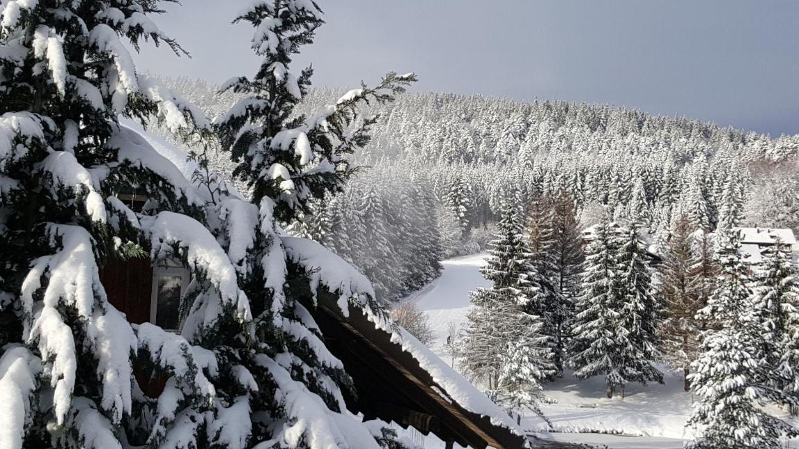 Ferienwohnungen Am Skilift Herrischried Εξωτερικό φωτογραφία