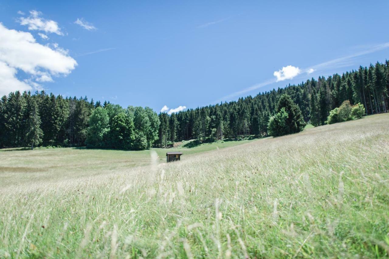 Ferienwohnungen Am Skilift Herrischried Εξωτερικό φωτογραφία