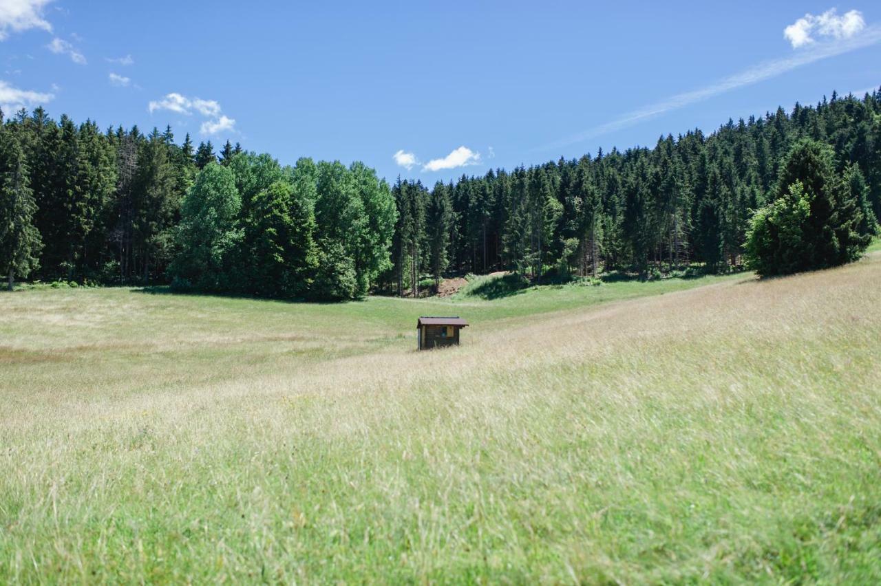 Ferienwohnungen Am Skilift Herrischried Εξωτερικό φωτογραφία